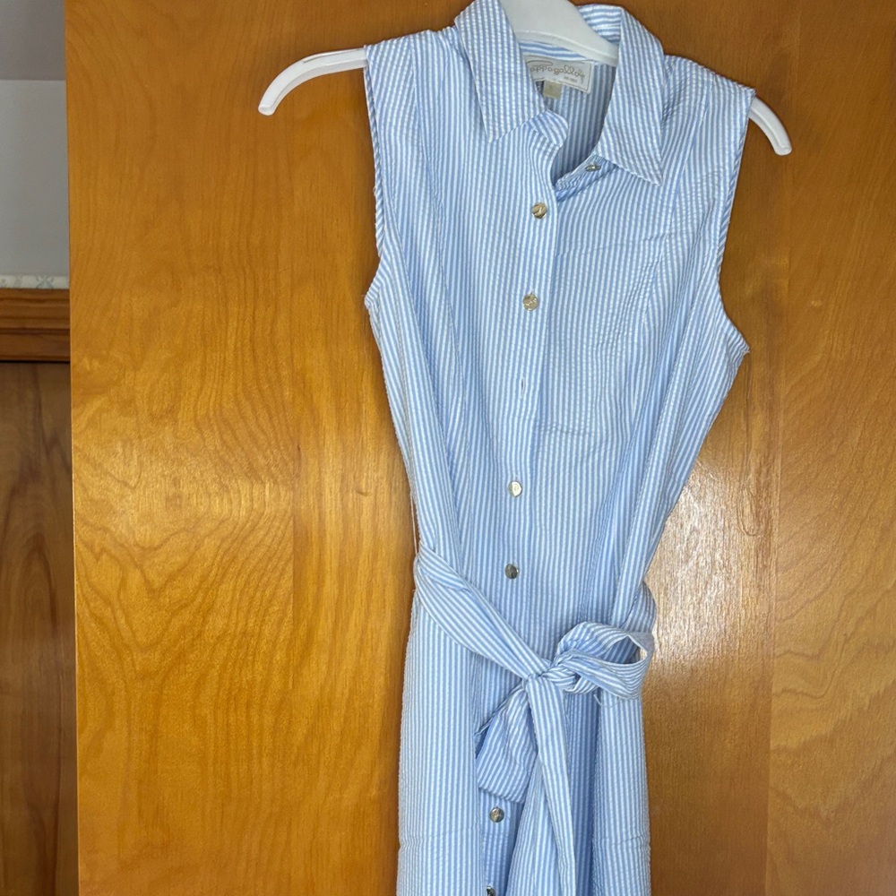 Pappagallo Blue Striped Sleeveless Dress